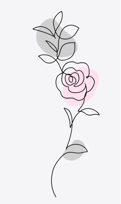 Papier peint à motif  One line drawing. Ornament with garden rose and leaves. Hand drawn sketch. Vector illustration.