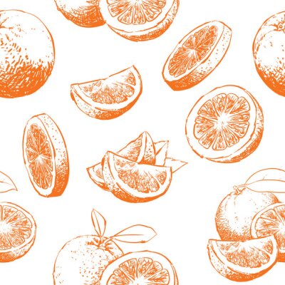 Oranges esquissées entières et en morceaux