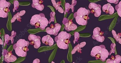 Papier peint à motif  Orchidée rose en fleur