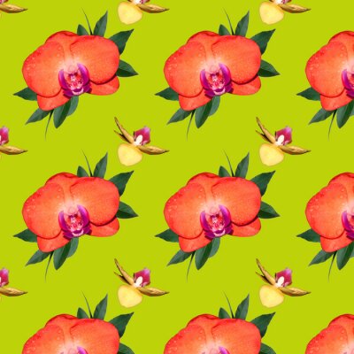 Papier peint à motif  Orchidée sur fond vert