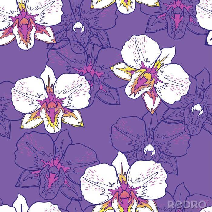 Papier peint à motif  Orchidées blanches à motif floral sans couture