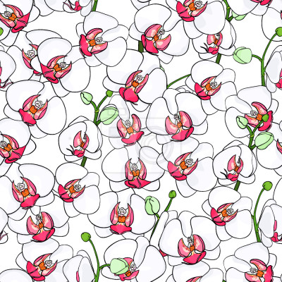 Papier peint à motif  Orchidées fleuries