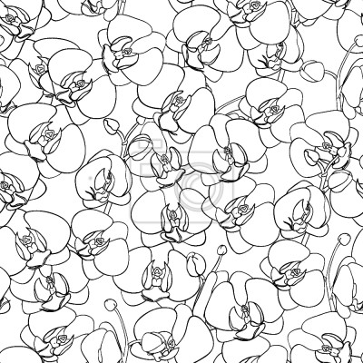 Papier peint à motif  Orchidées Océan