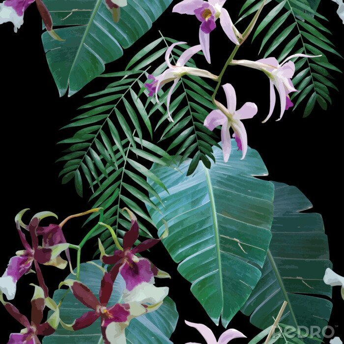 Papier peint à motif  orchids exotic tropical pattern