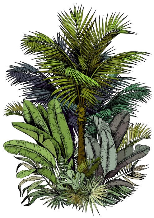 Papier peint à motif  Palmier et feuilles tels que peints