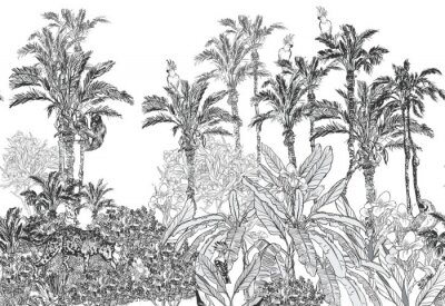 Palmiers esquissés