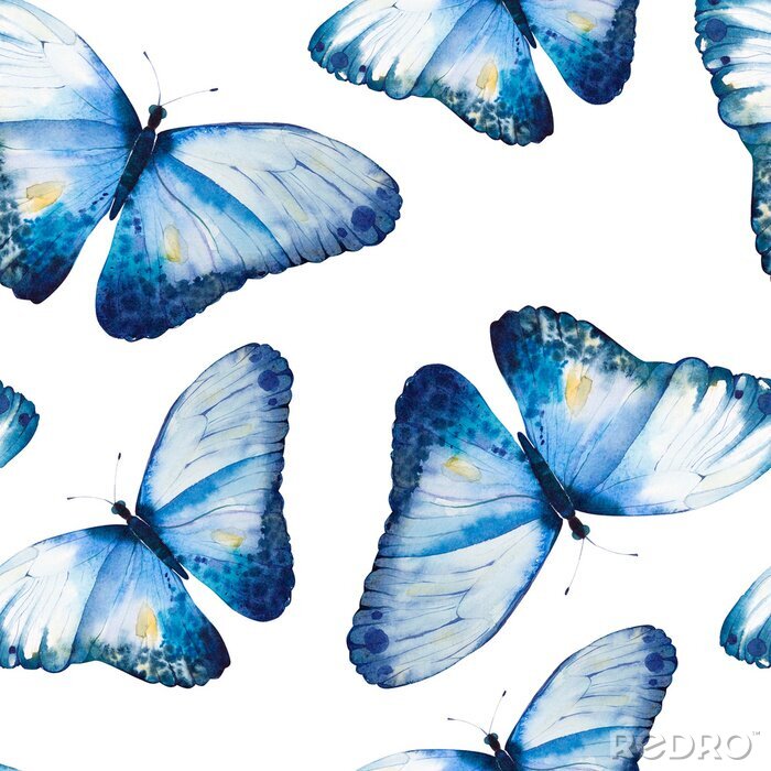 Papier peint à motif  Papillons bleus délicats sur fond blanc