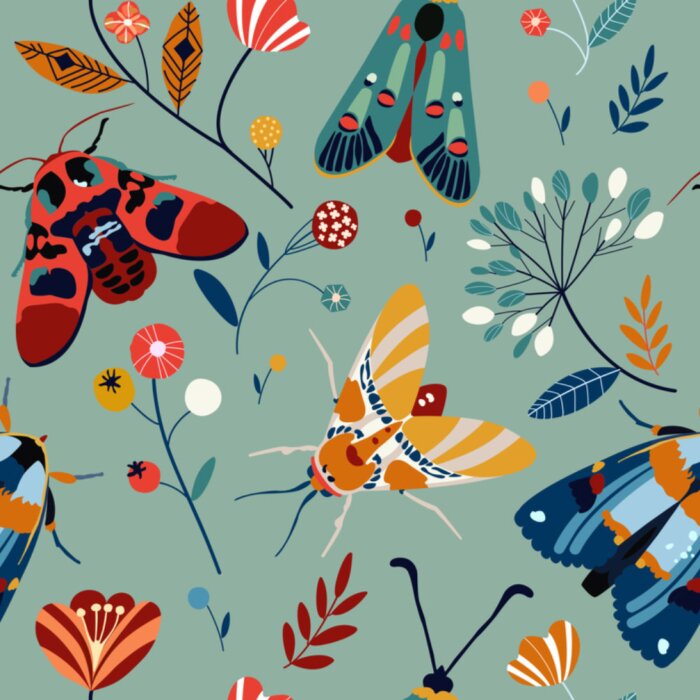 Papier peint à motif  Papillons de nuit colorés