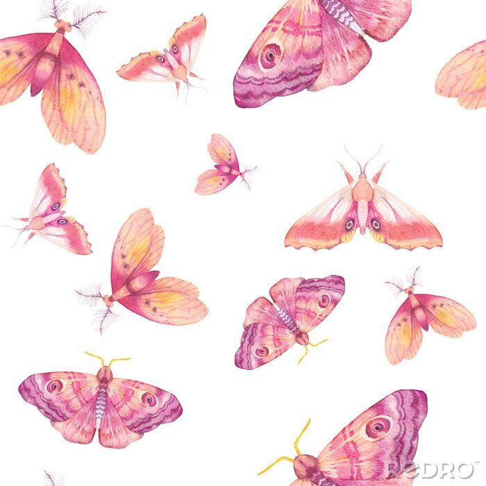 Papier peint à motif  Papillons délicats à l'aquarelle