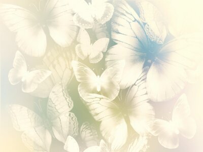 Papier peint à motif  Papillons délicats à la crème