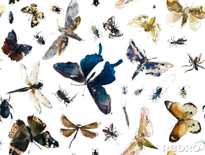 Papier peint à motif  Papillons et insectes colorés réalistes