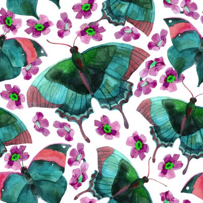 Papier peint à motif  Papillons peints avec de la peinture avec des fleurs