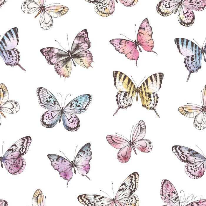 Papier peint à motif  Papillons toniques sur fond blanc