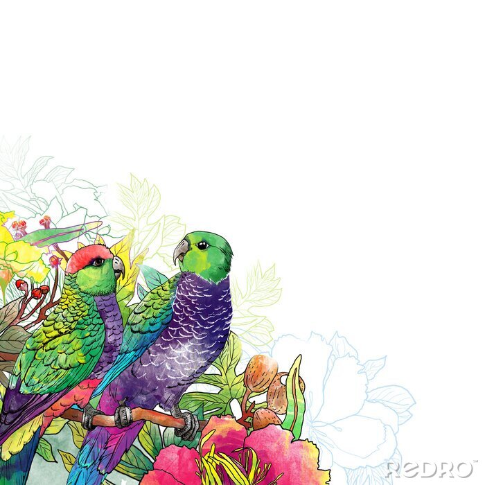 Papier peint à motif  Paradis des perroquets