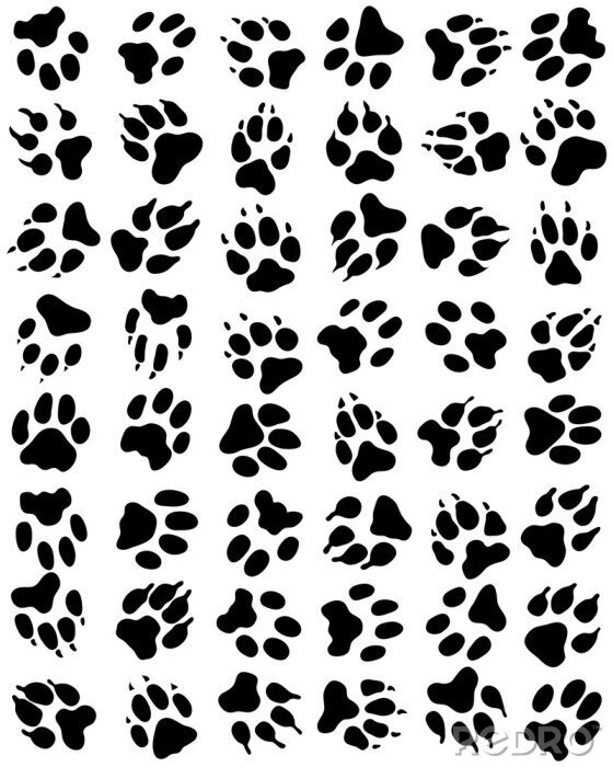 Papier peint à motif  Pattes de chats noir et blanc