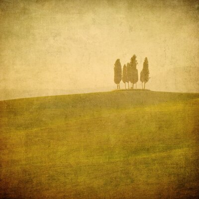 paysage toscan Vintage