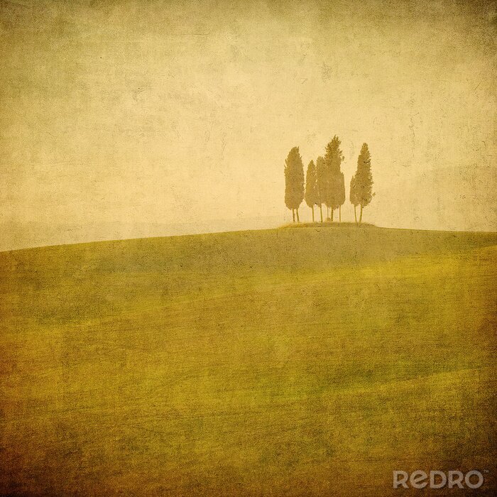 Papier peint à motif  paysage toscan Vintage