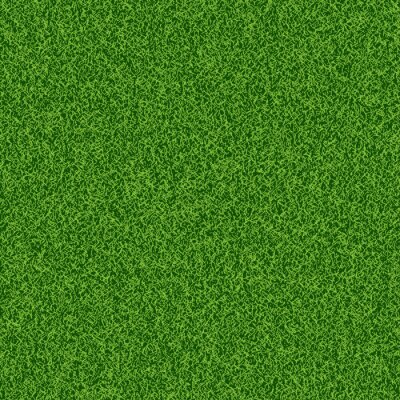 Papier peint à motif  Pelouse d'été