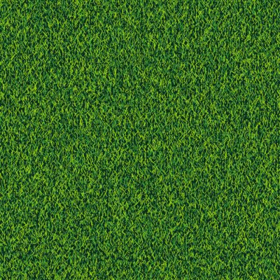 Papier peint à motif  Pelouse de printemps aux couleurs gaies