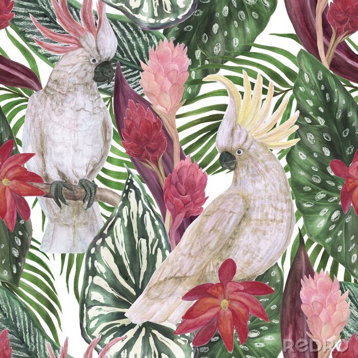 Papier peint à motif  Perroquets et feuilles de cacatoès