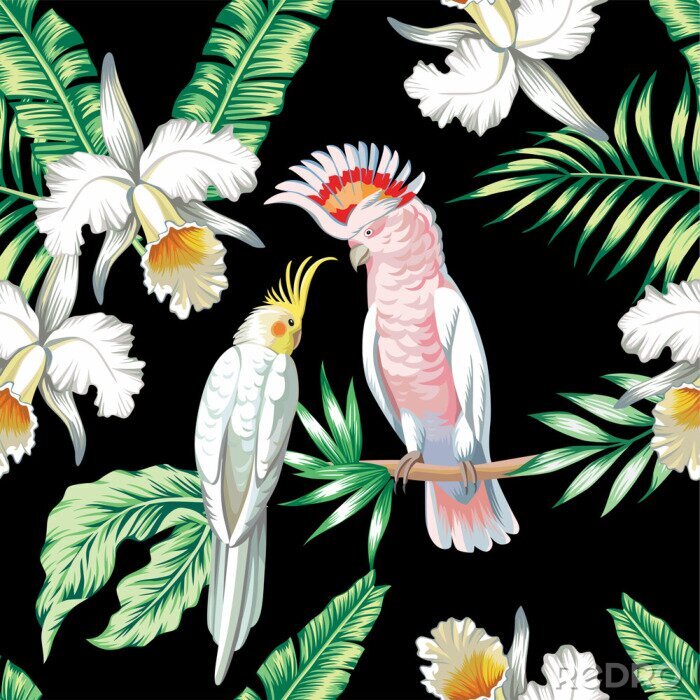 Papier peint à motif  perroquets exotiques seamless background floral