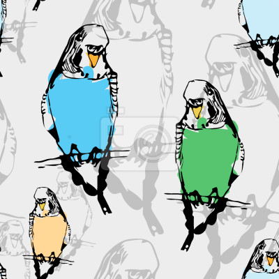 Papier peint à motif  perruches