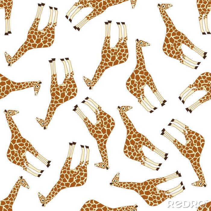 Papier peint à motif  Petites girafes sur fond blanc