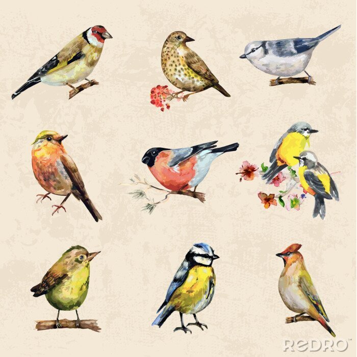 Papier peint à motif  Petits oiseaux sur fond brun