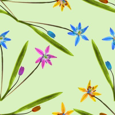 Papier peint à motif  Petits pétunias multicolores