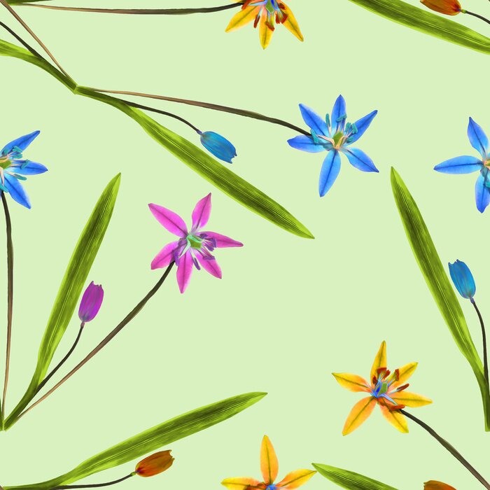 Papier peint à motif  Petits pétunias multicolores