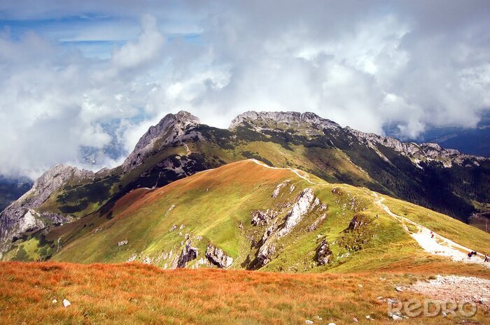 Papier peint à motif  Pics montagneux verts