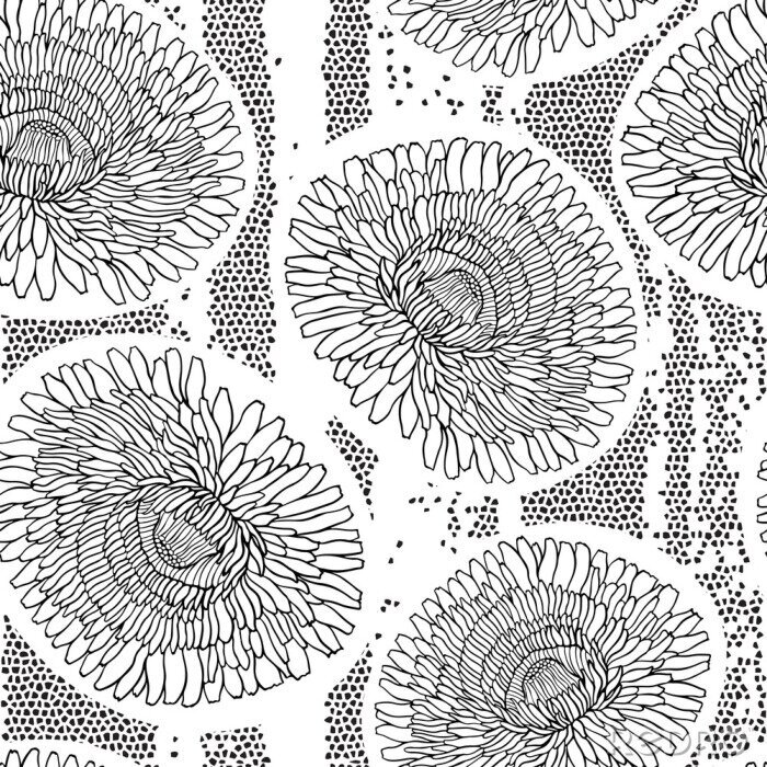 Papier peint à motif  Pissenlits noir et blanc dessin
