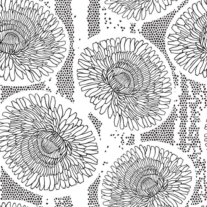 Papier peint à motif  Pissenlits noir et blanc dessin