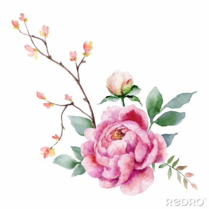 Papier peint à motif  Pivoine rose façon aquarelle