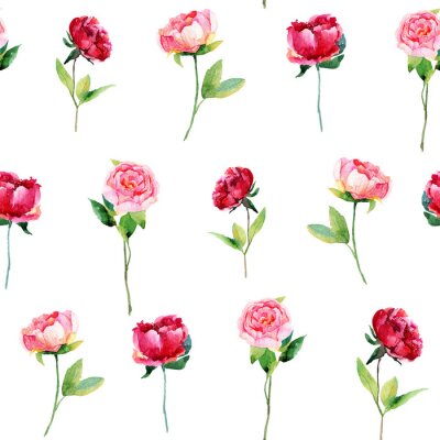 Papier peint à motif  Pivoines séparées sur fond blanc