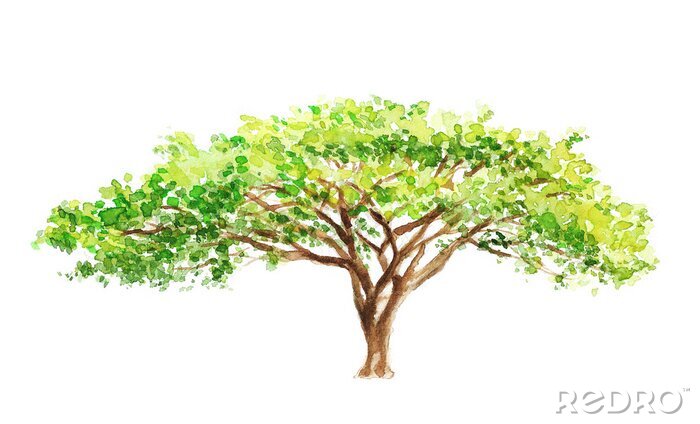 Papier peint à motif  Planter comme un arbre