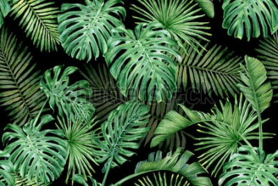 Papier peint à motif  Plantes à feuilles tropicales