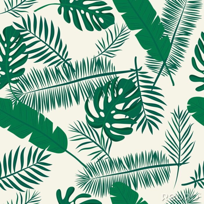 Papier peint à motif  Plantes de la jungle sur fond blanc