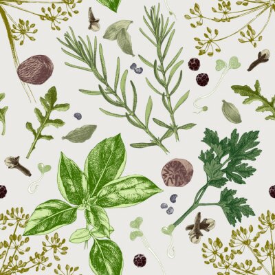 Papier peint à motif  Plantes et herbes de style vintage