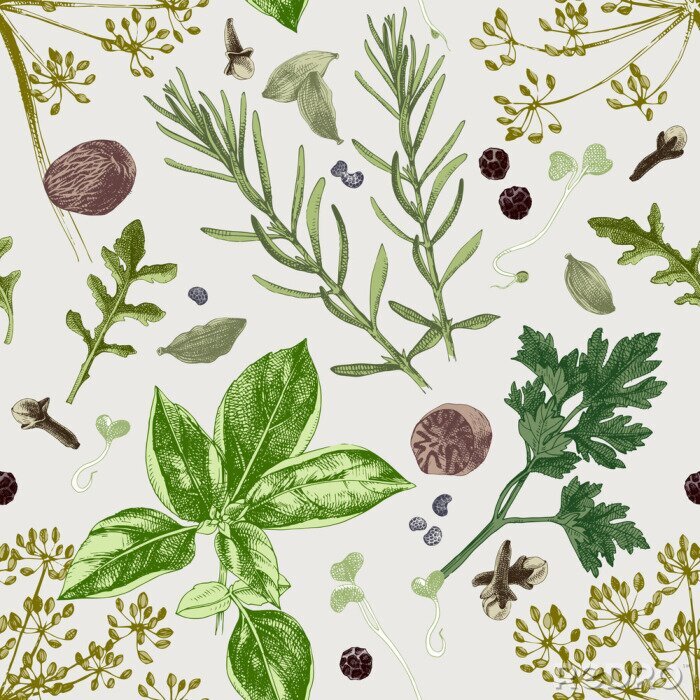 Papier peint à motif  Plantes et herbes de style vintage