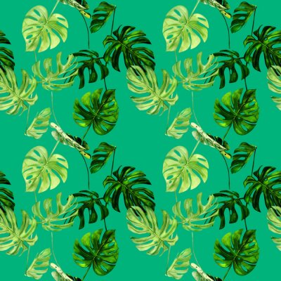 Papier peint à motif  Plantes exotiques dessinées sur vert intense