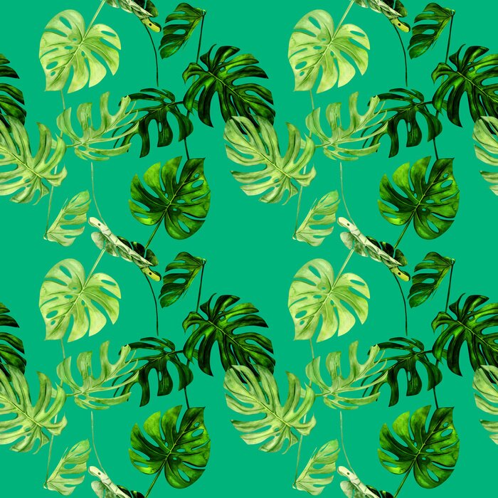 Papier peint à motif  Plantes exotiques dessinées sur vert intense