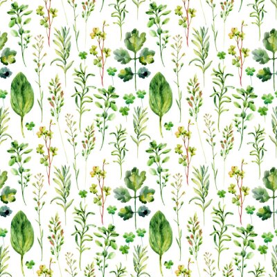 Papier peint à motif  Plantes sauvages aquarelles