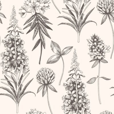 Papier peint à motif  Plantes sauvages de style vintage