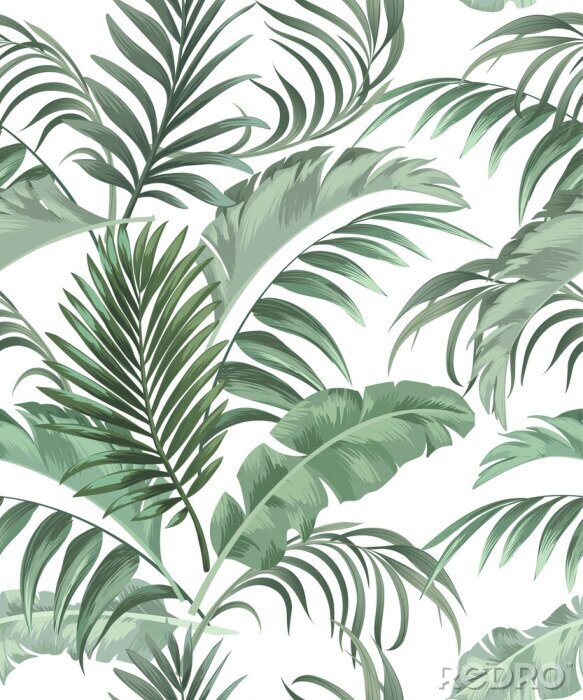 Papier peint à motif  Plantes tropicales aux feuilles impressionnantes