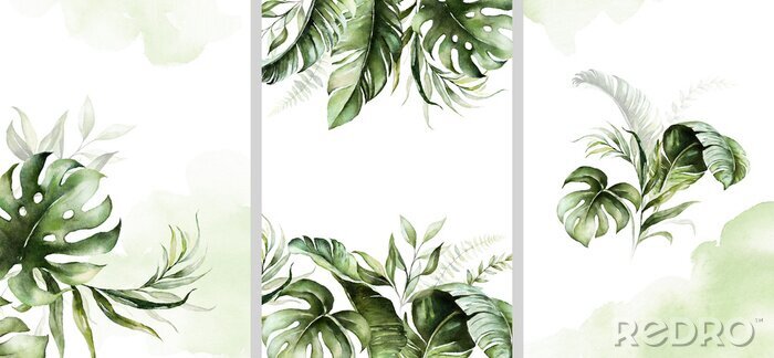 Papier peint à motif  Plantes tropicales divisées en trois illustrations