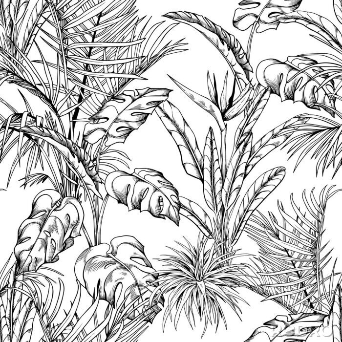 Papier peint à motif  Plantes tropicales sur fond blanc