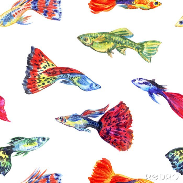 Papier peint à motif  Poissons d'aquarium colorés peints à l'aquarelle