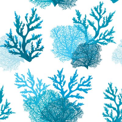 Récif corallien bleu