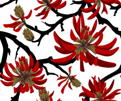 Papier peint à motif  Red flowers on white background. Blooming coral tree. Seamless pattern